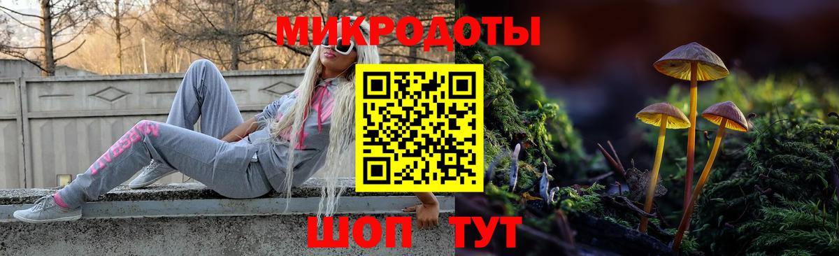 Галлюциногенные грибы MAGIC MUSHROOMS Кубинка